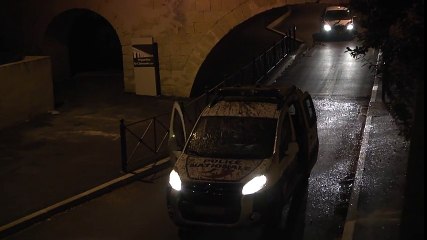 Polis arabasının üzerine pisleyen dev baykuş