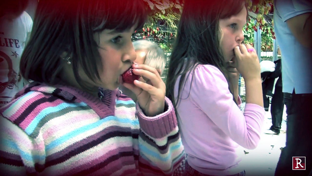 Les Paysans de Rougeline s'engagent sur le goût de leurs fruits et légumes