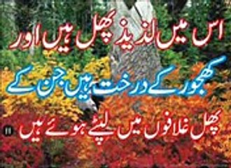 Surah rehman with urdu translation