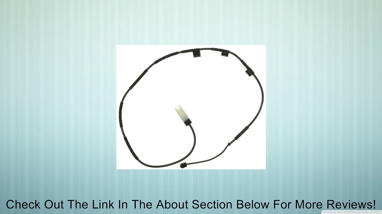 Raybestos EWS152 Professional Grade Electronic Disc Brake Pad Wear Sensor Review