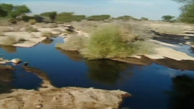 Marée noire au sud d'Israël