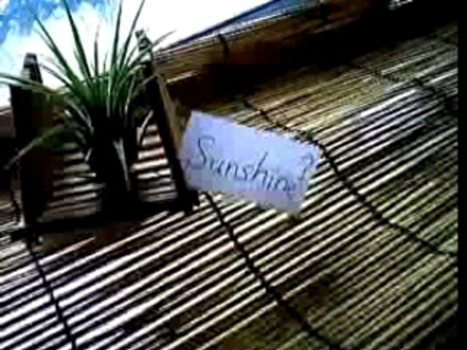 21sec_sunshine?,tea?or