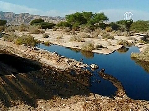В Израиле откачивают разлившуюся по пустыне нефть
