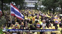 Ailing Thai king cancels appearance for 87th birthday