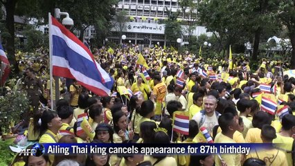 Ailing Thai king cancels appearance for 87th birthday