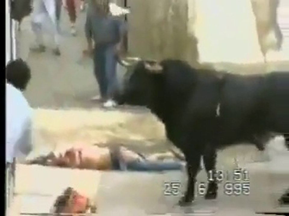 Bull Kills The Player