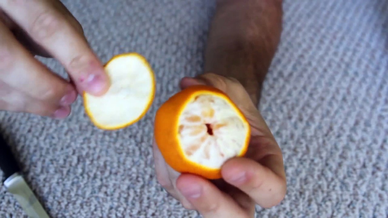 You ve Been Peeling Clementine Wrong