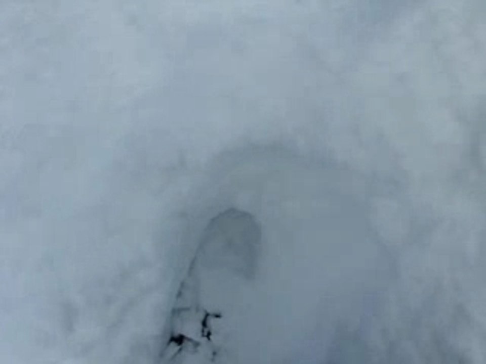 regis au ski
