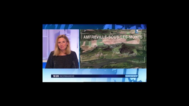 contournement Est de Rouen : la violette de rouen n'existe pas. Ben oui, en fait. Et on s'en occupe