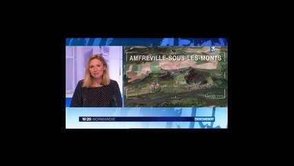 contournement Est de Rouen : la violette de rouen n'existe pas. Ben oui, en fait. Et on s'en occupe