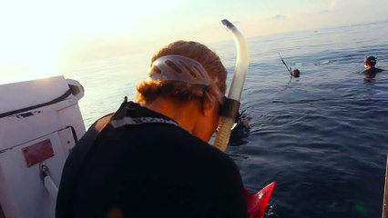 Mission Blue - Clip - Swimming with Whale sharks- Netflix - [HD]