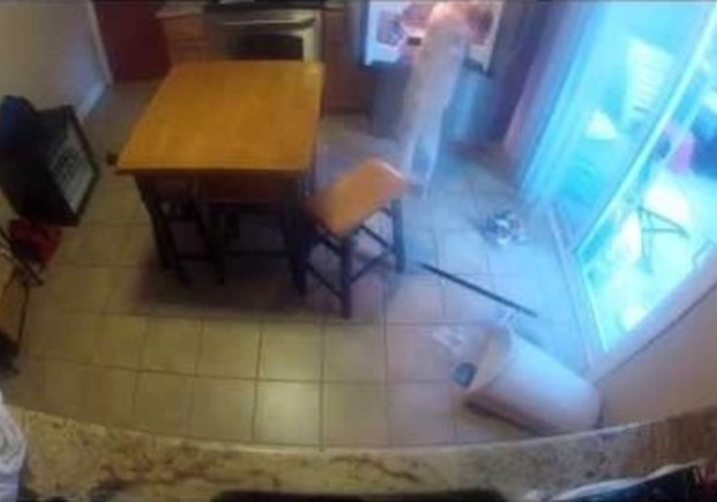 Clever Dog Caught on Camera Opening Fridge