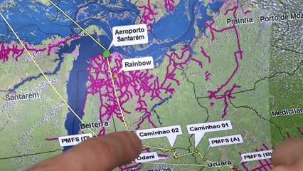 Europeus suspendem compra de madeira ilegal da Amazônia