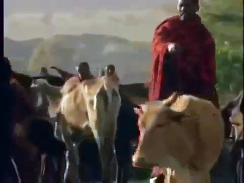 Nat Geo Wild Documentaries Full Lions Eternal Enemies Lions Vs Hyenas Discovery Education Animals HD