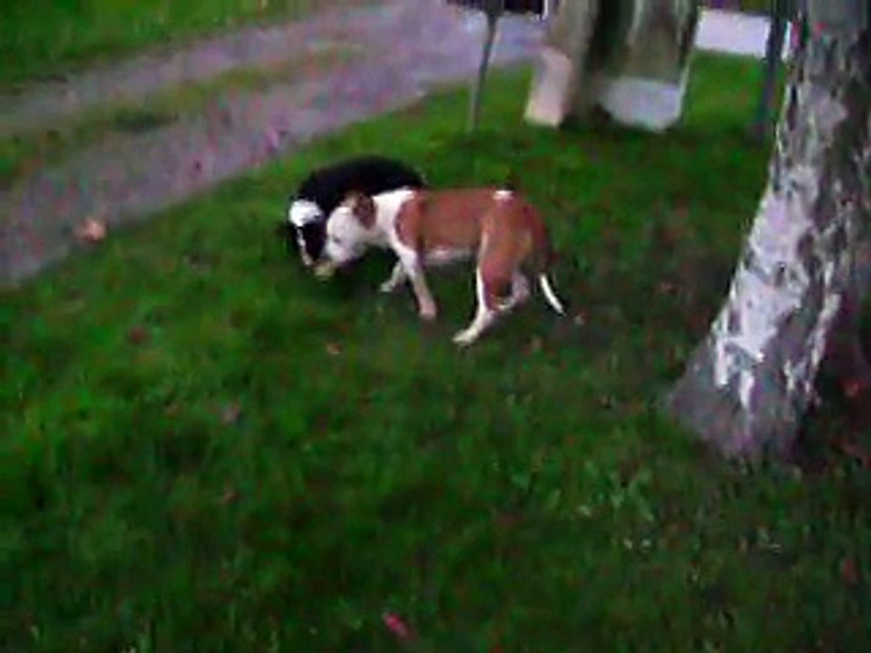 vidéo du 05.12.14 de June et Jessie ...