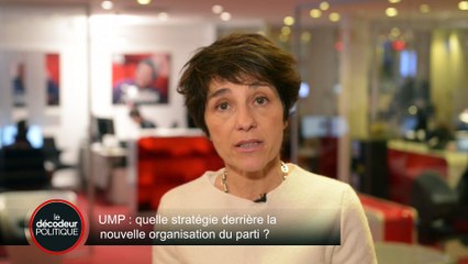 UMP : pourquoi Nicolas Sarkozy a-t-il choisi une telle organisation ?