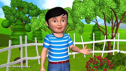 Baa Baa Black Sheep - 3D Animation English Nursery rhyme for children with lyrics.mp4