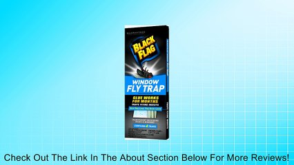 Black Flag Window Fly Trap Review