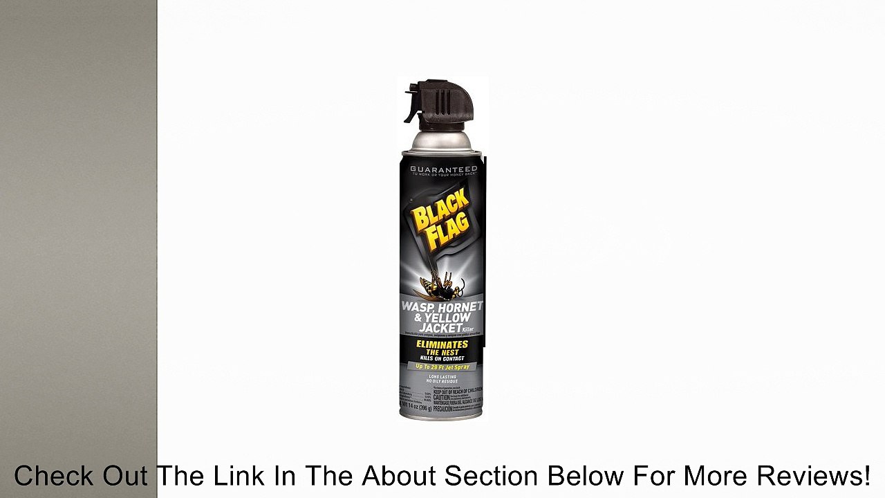 Black Flag Wasp and Hornet Aerosol Spray, 14-Ounce Review