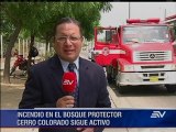 Con helicópteros y más de 100 bomberos intentan apagar incendio en Cerro Colorado
