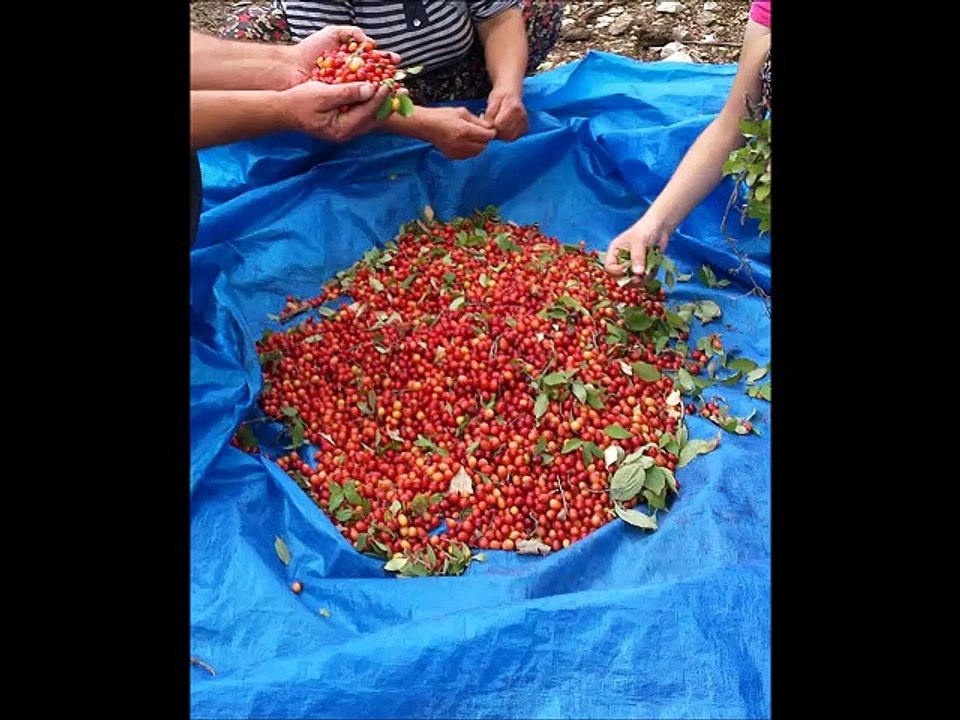 SAYIN SAİM-AYFER DOBUR TEŞEKKÜRLER AŞIK MAHSUNİ DEN HARİKA BİR ESER.