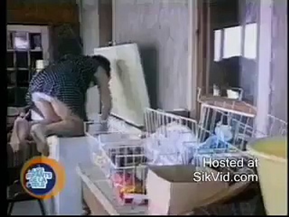 Funny Videos