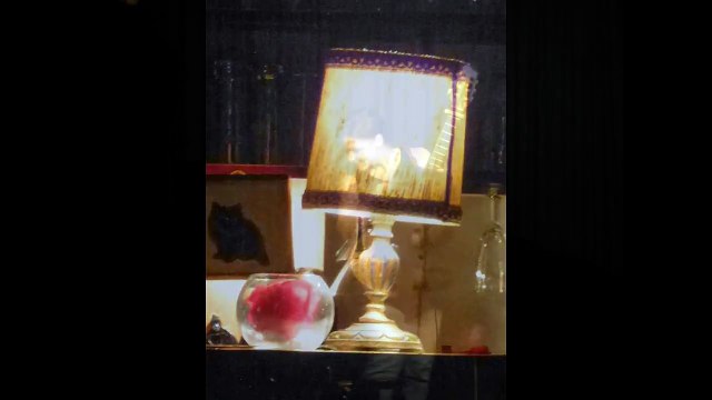 GRAZIELLINA : Menteur (Cabaret aux Chansons, Bruxelles, 2013)