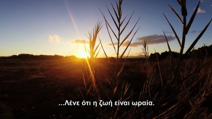 DECEMBER RIOTS CLIP 1 "They say that life is beautiful"....