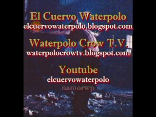 Gojkovic Great Goal water polo