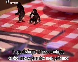 Caçadores de Vírus - Virus Hunters - RTP2