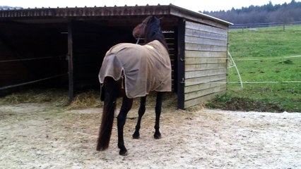 141205 Bassu apprend à faire lui même son boxe partie 2