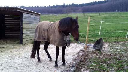 141205 Bassu apprend à faire lui même son boxe partie 3