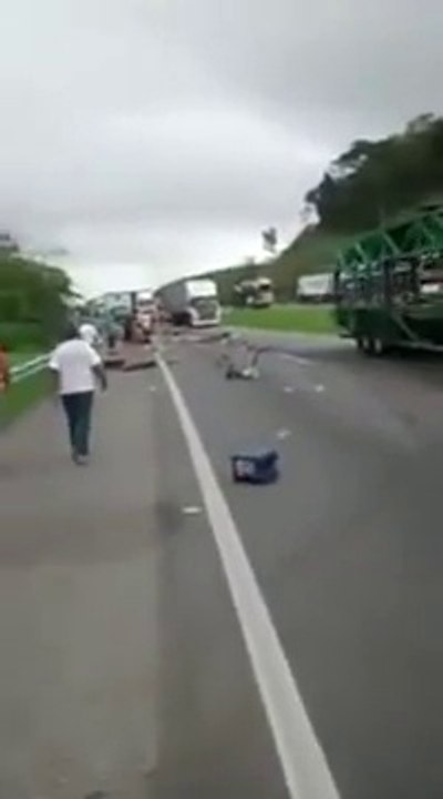 220 kg de cannabis rependu sur l'autoroute après un accident de voiture!