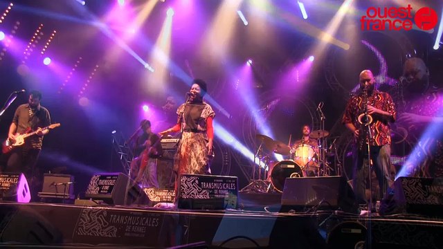 TransMusicales 2014 : Meta Meta