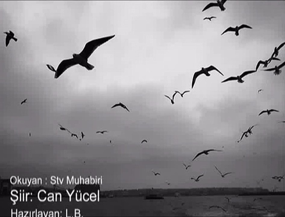 Can Yücel Bağlanmayacaksın