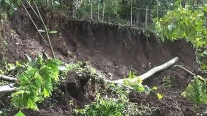 Endonezya'da Muson Yağmurları Heyelana Neden Oldu