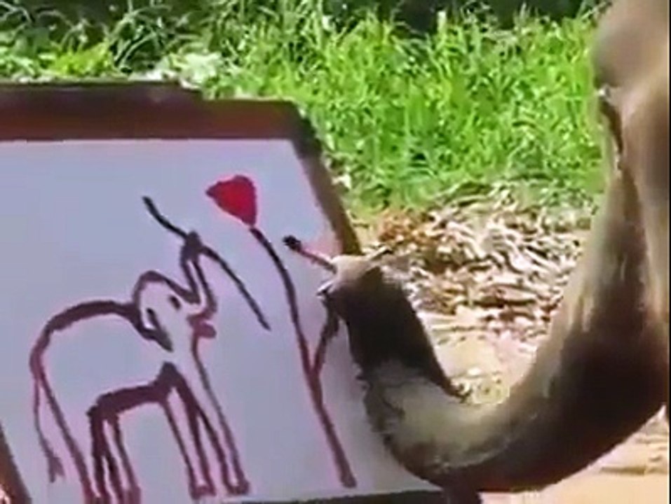 OMG    This Elephant Has Talented