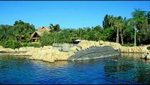 Discovery Cove - discovery channel documentary