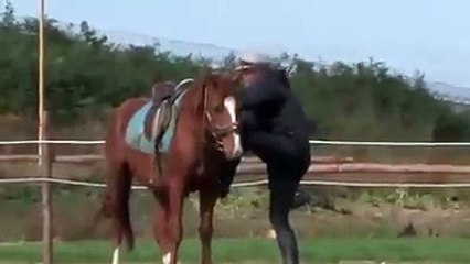 Very Naughty & Lazy Horse....