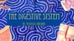 the digestive system science projects | high school science project work | ideas for science fair pr