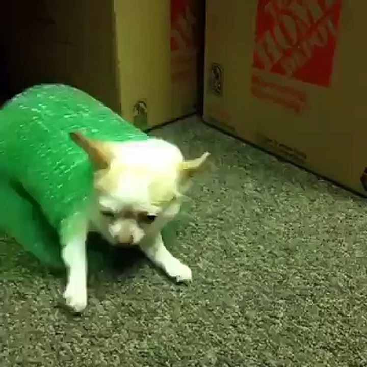 It's Moving Day!