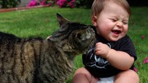 When Cats meet Babies - Cute cat & baby compilation
