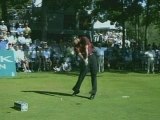 Swing Vision Tiger Woods