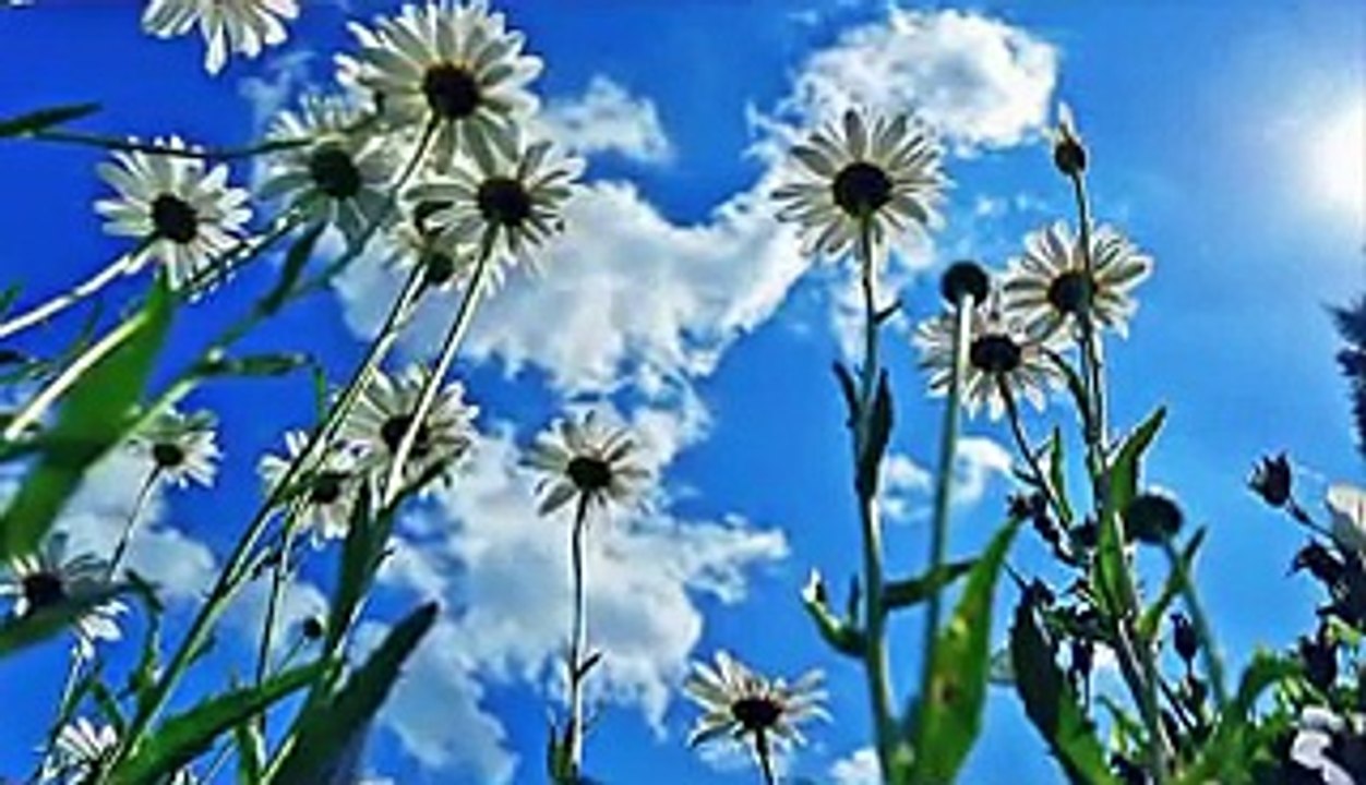 あINTO THE SKY