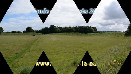 Géobiologie coévolution Irlande énergie de base