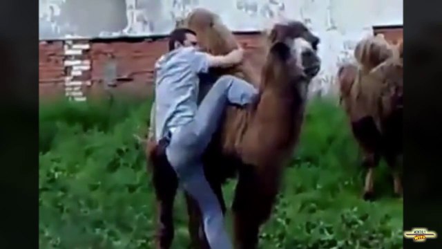 Crazy things, dumb guys and WTF! Hilarious WTF Compilation December 2014