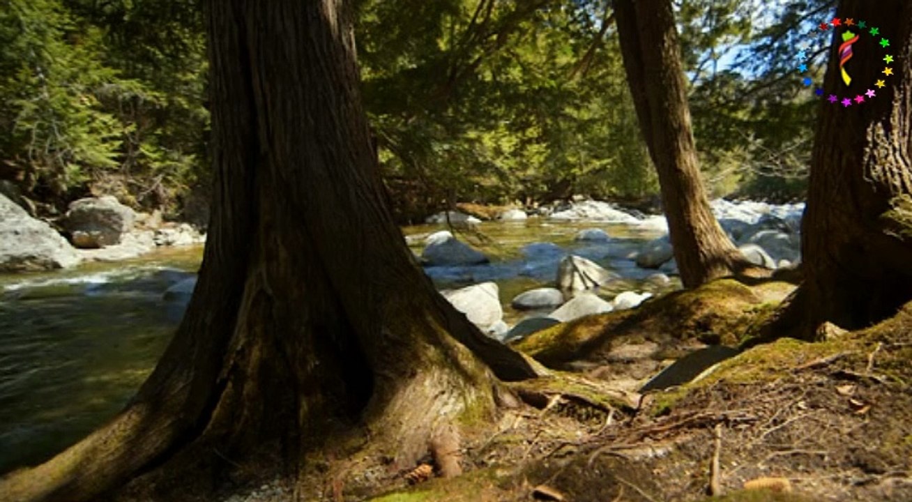 Uğur Sönmez ♫ ♥ ♪ ☆ Ander Sevdaluk