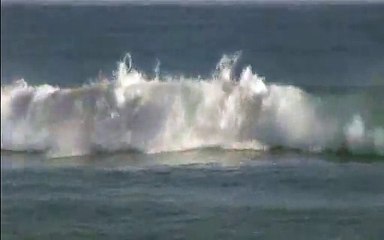 Surfer avec les requins