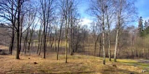 Timelapse - 1 an en 40 secondes