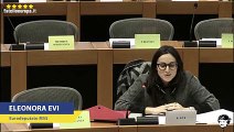 Il MoVimento 5 Stelle sostiene la petizioni per sostenere i precari della scuola italiana - Evi M5S - MoVimento 5 Stelle Europa